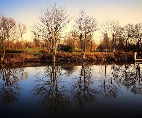 an autumnal field with bare trees next to a river