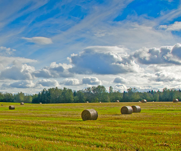 Barton Parish Council